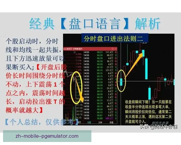 举重盘口分析：挖掘背后的策略与技巧